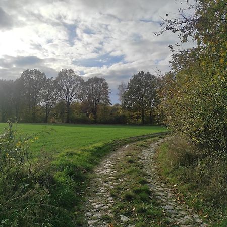 Lazurowa Prowansja - Agroturystyka Villa Toscana بوليسلافيتش المظهر الخارجي الصورة
